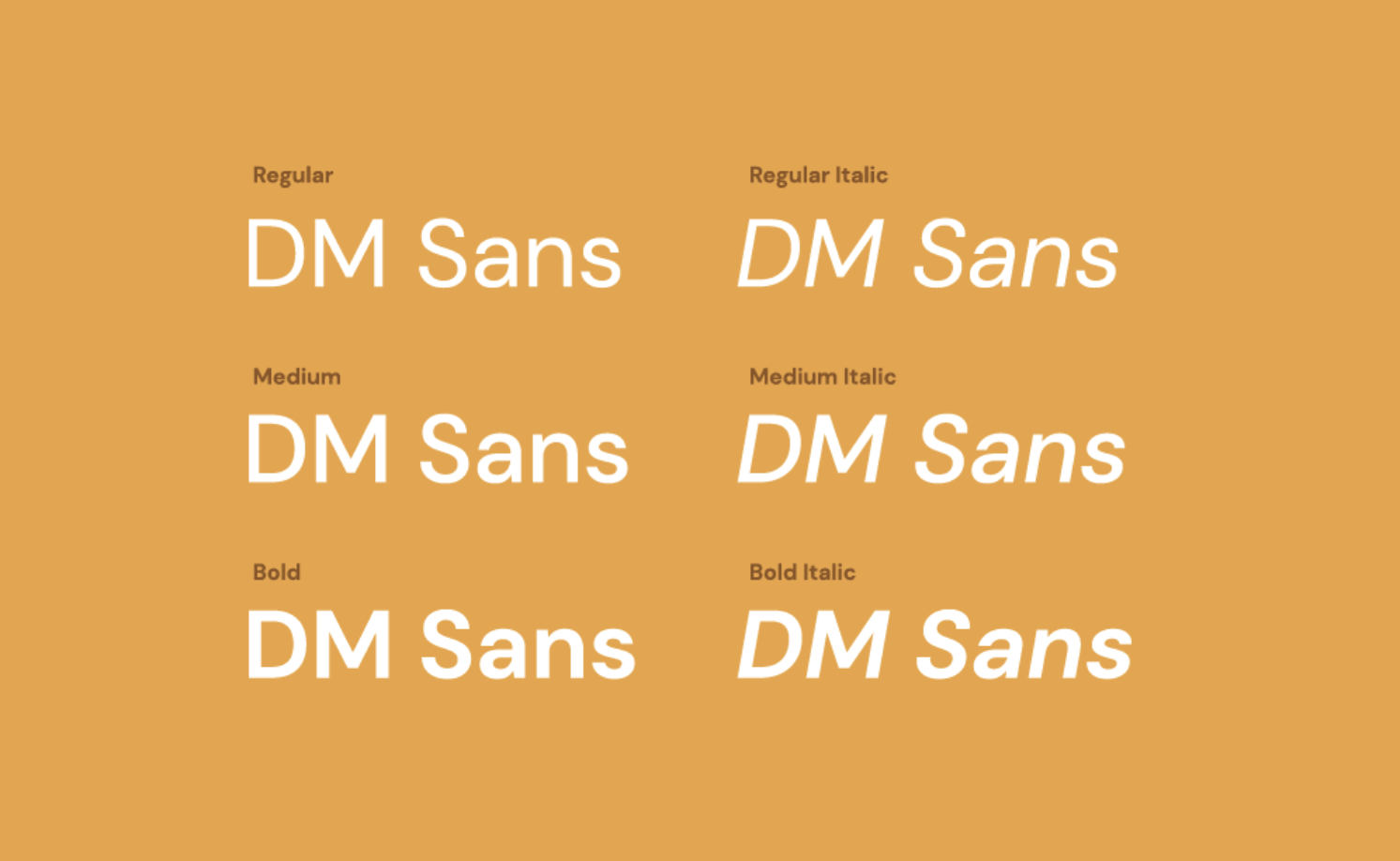 DM Sans Font