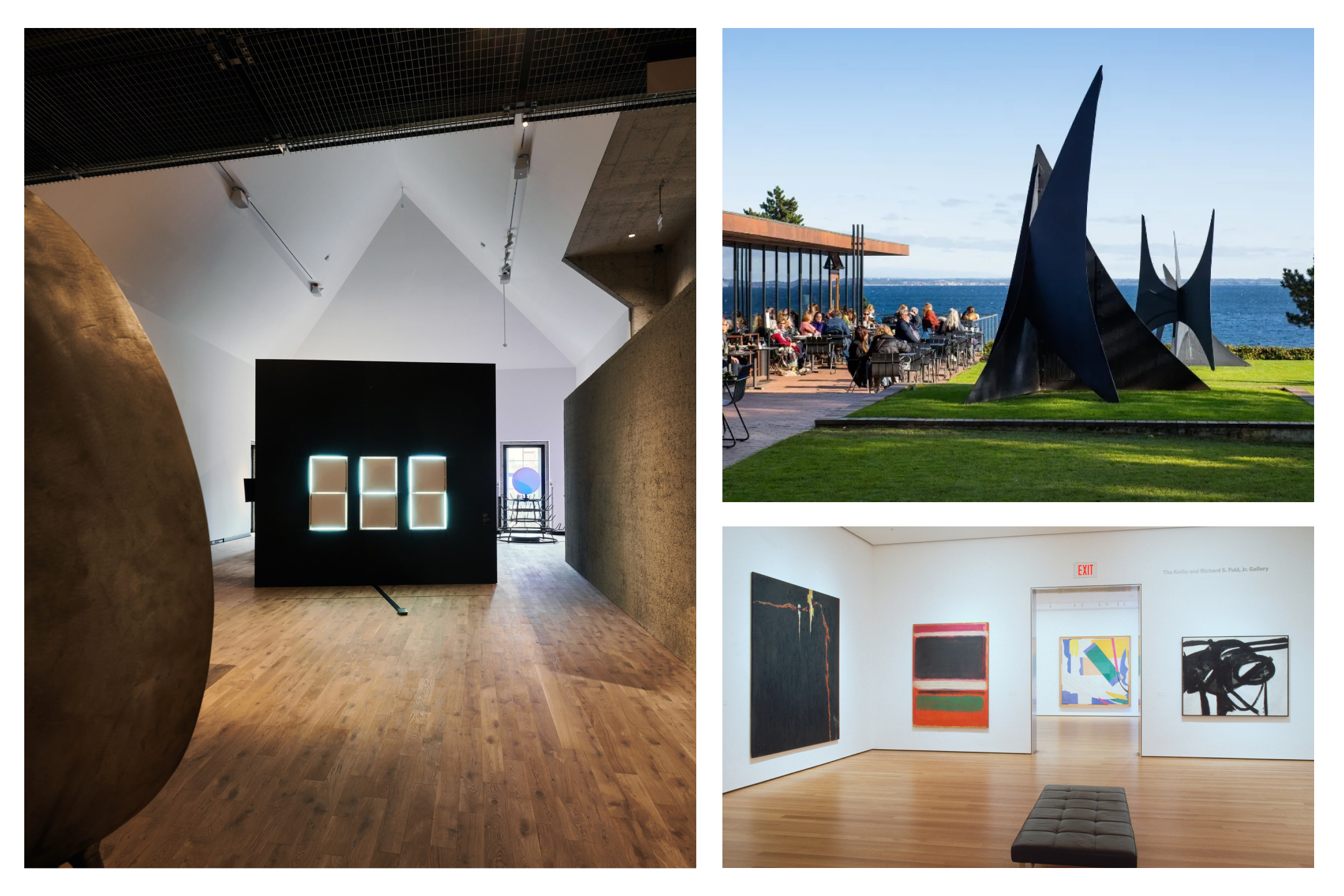 Museum gallery membership gift for UI UX designer art exhibitions