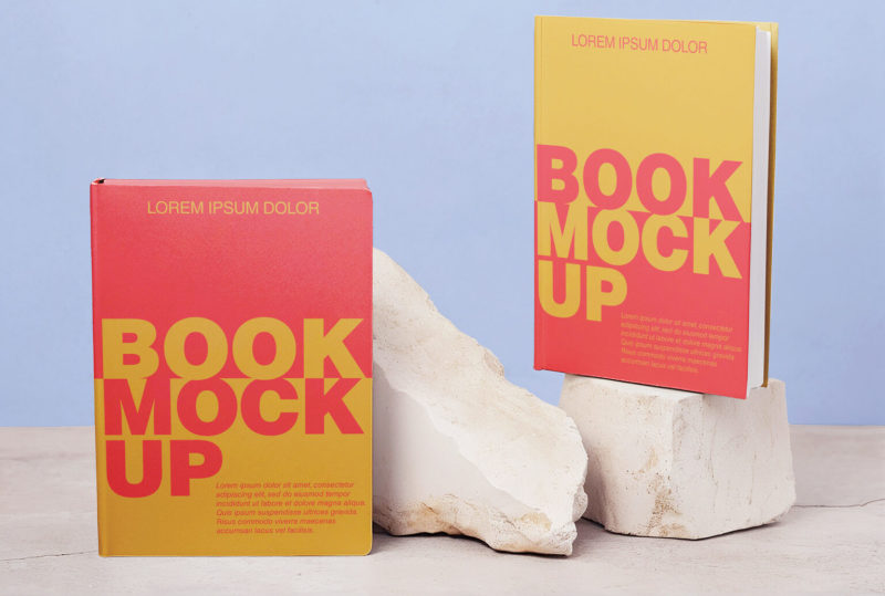 Two upright hardcover books with vibrant covers on white stone objects