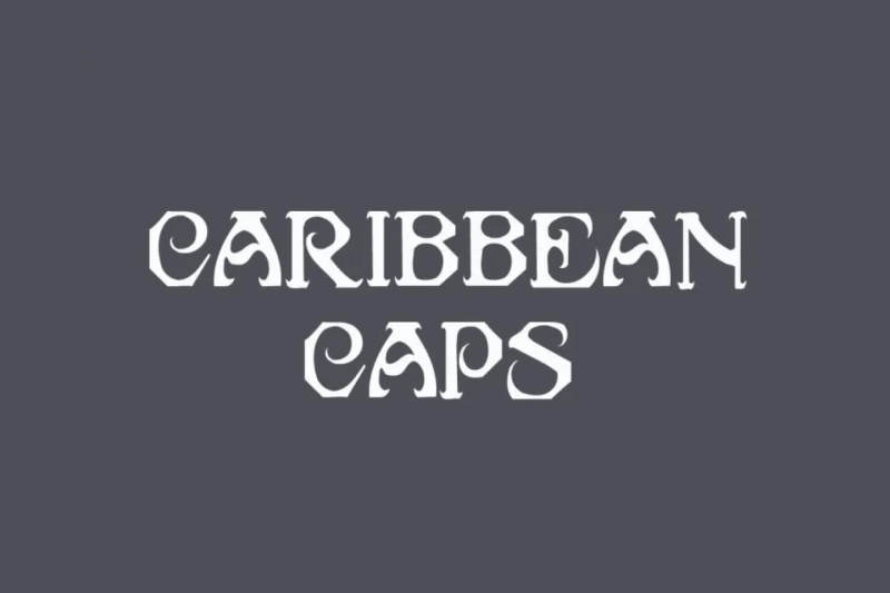 Caribbean font logo preview – relaxed, fluid brush style for logos